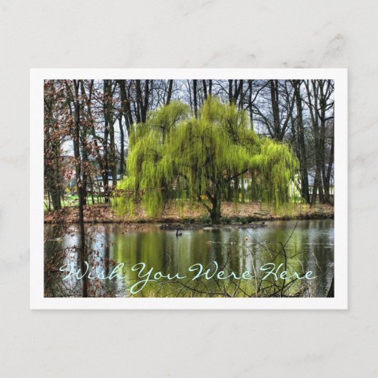 君がここにいれば ポストカード (正面)