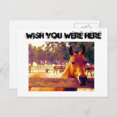 君がここにいれば ポストカード (正面/裏面)