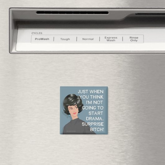 君が劇考えを始めないときに… マグネット (インサイチュ (食洗機))