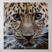 君が必要だ… ポスター (正面)