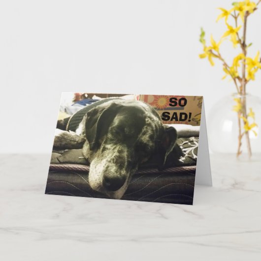 君が行くのを見るのは悲しい。子犬は、とても不幸だ。 カード (黄色い花)