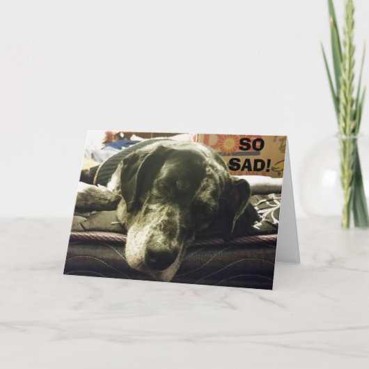 君が行くのを見るのは悲しい。子犬は、とても不幸だ。 カード (正面)