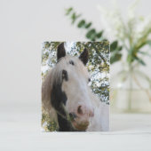 君が見える ポストカード (スタンド正面)