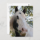 君が見える ポストカード (正面/裏面)