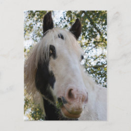 君が見える ポストカード