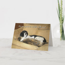 君と仲が良い シーズンカード