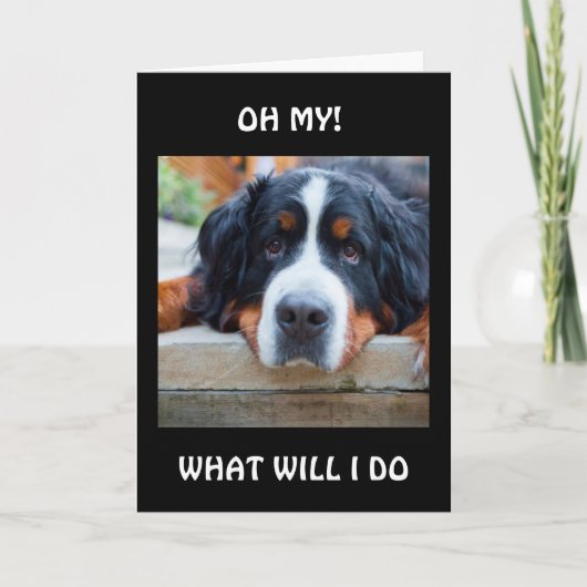 「君なしで」私は何をすればいい? カード (正面)