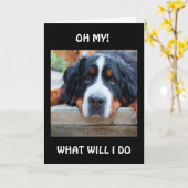 「君なしで」私は何をすればいい? カード (黄色い花)