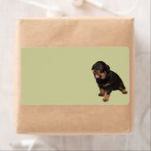 君に会える ラベル (インサイチュ)