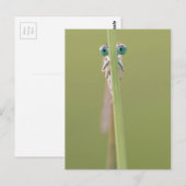 君に目を付ける ポストカード (正面/裏面)