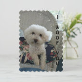 君のカードを知っている シーズンカード (スタンド正面)