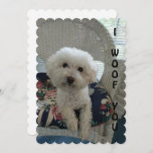 君のカードを知っている シーズンカード (正面/裏面)