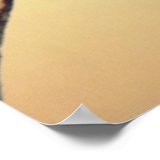 君のハートの声が僕の心にささやく ポスター (角)