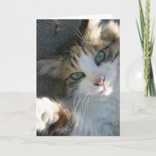 君の名刺を取りに来た カード (正面)