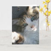 君の名刺を取りに来た カード (黄色い花)