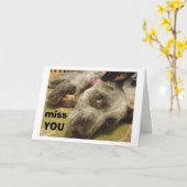 君の恋しく思誕生日には悲しい牛の犬が言われている カード (黄色い花)