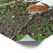 君の方が好い ポスター (角)