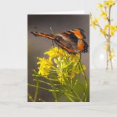 君の考えるミャンベールの亀甲蝶の カード (黄色い花)