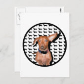 君の言うことが聞こえる ポストカード (正面/裏面)