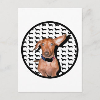 君の言うことが聞こえる ポストカード