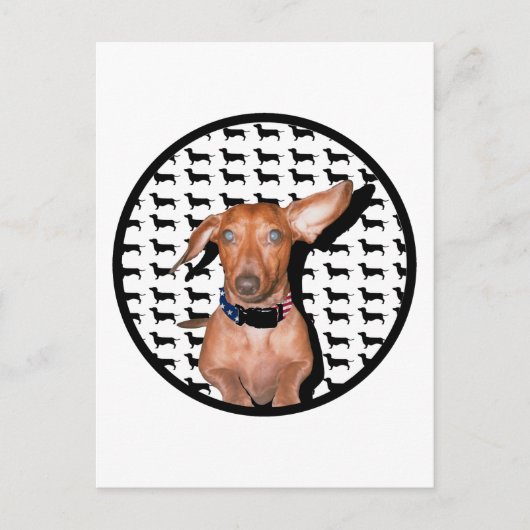 君の言うことが聞こえる ポストカード (正面)