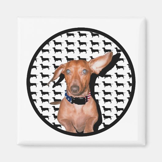 君の言うことが聞こえる マグネット (正面)