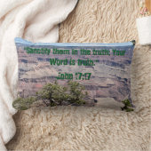 君の言うことは本当だ ランバークッション (ブランケット)