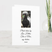 君の誕生日が卵の貯蔵庫だといいなおもしろいい。 カード (裏面)