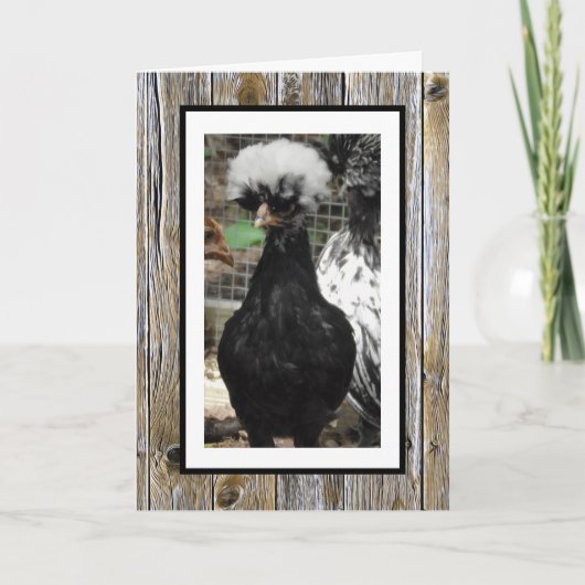 君の誕生日が卵の貯蔵庫だといいなおもしろいい。 カード (正面)