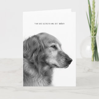 君はいつも僕の名刺を出す カード