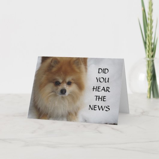 君はその知らせを聞いたか カード (正面)