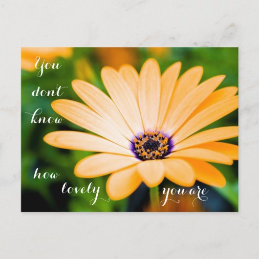 君はどんなに素敵か分からない ポストカード (正面)