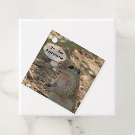 君はリス感謝してい動物だ フェイバータグ (インサイチュ)