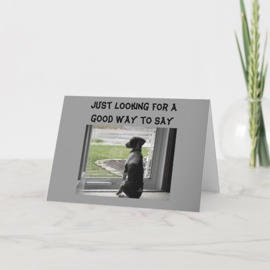 君は丘の上が似合う カード (正面)