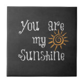 君は僕の日光だ タイル (正面)