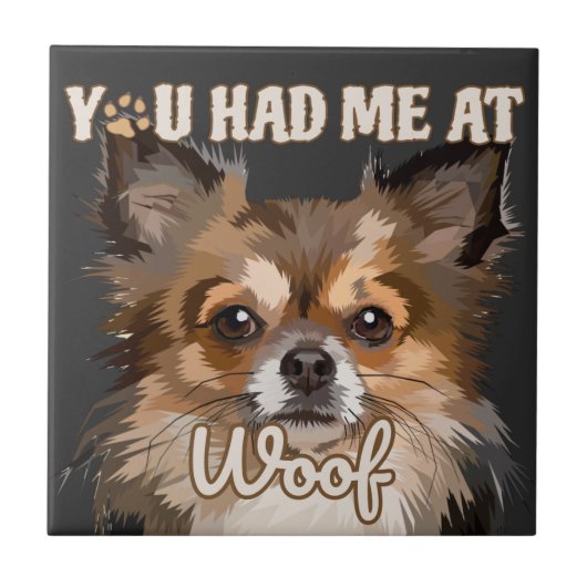 君は僕の災難だ |ポメラニア犬愛犬家 タイル (正面)