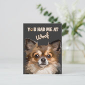 君は僕の災難だ |ポメラニア犬愛犬家 ポストカード (スタンド正面)