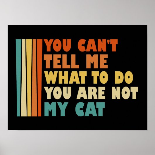 君は僕の猫じゃないから何をすればいいか言えない ポスター (正面)