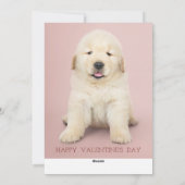 君は僕の足で一番可愛い シーズンカード (裏面)