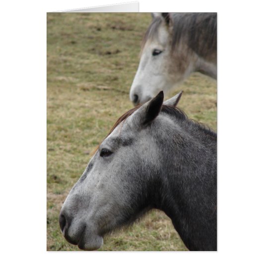 君は僕を作ったが僕はまだ君を愛している (正面)