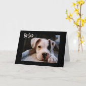 君は四十になるのが好い カード (黄色い花)