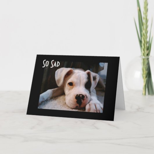 君は四十になるのが好い カード (正面)