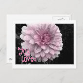 君は愛されている ポストカード (正面/裏面)