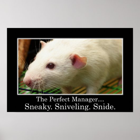 君は支配人の資質素晴らしを全て持っている ポスター (正面)