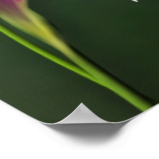 君は来ていた ポスター (角)