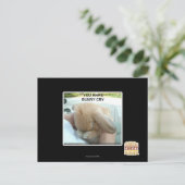 君は泣き虫だ ポストカード (スタンド正面)