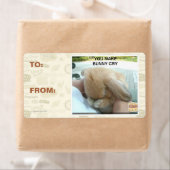 君は泣き虫だ ラベル (インサイチュ)