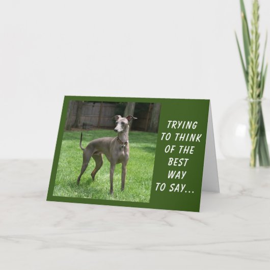 君は特別だ、君は誕生日だ カード (正面)