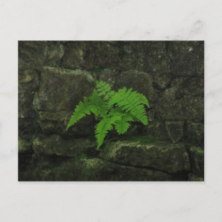 君は生き延び... ポストカード