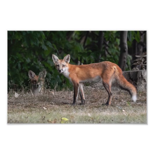 君は監視されている フォトプリント            (正面)